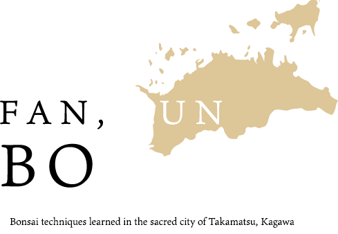 ／Bonsai techniques learned in the sacred city of Takamatsu, Kagawa